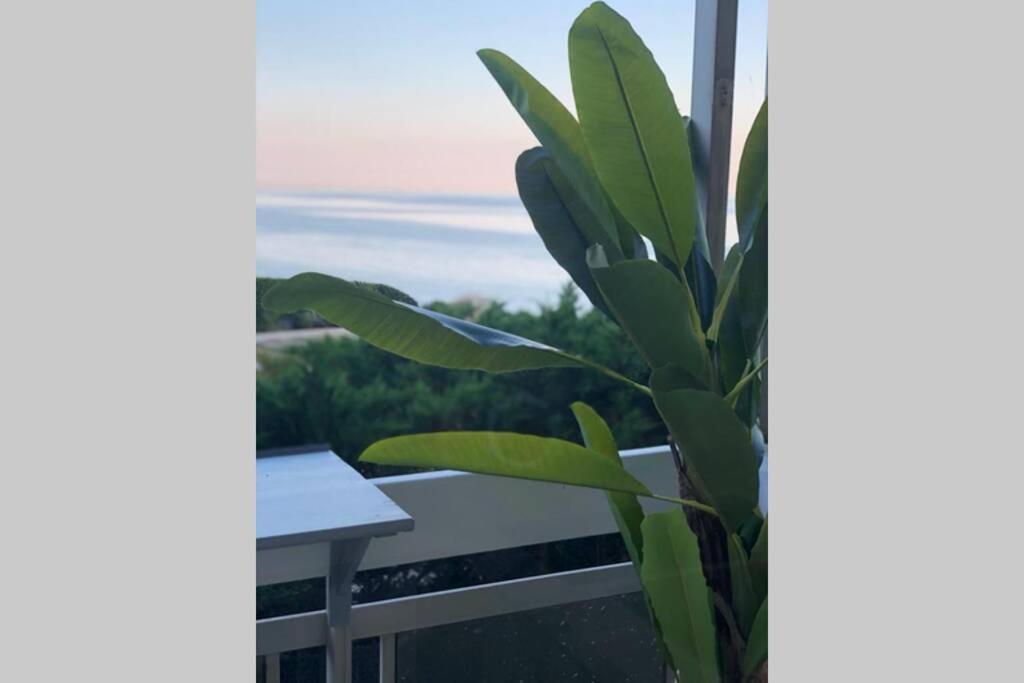 Charmant Studio Avec Terrasse Vue Mer A 50 M Сент-Максим Экстерьер фото